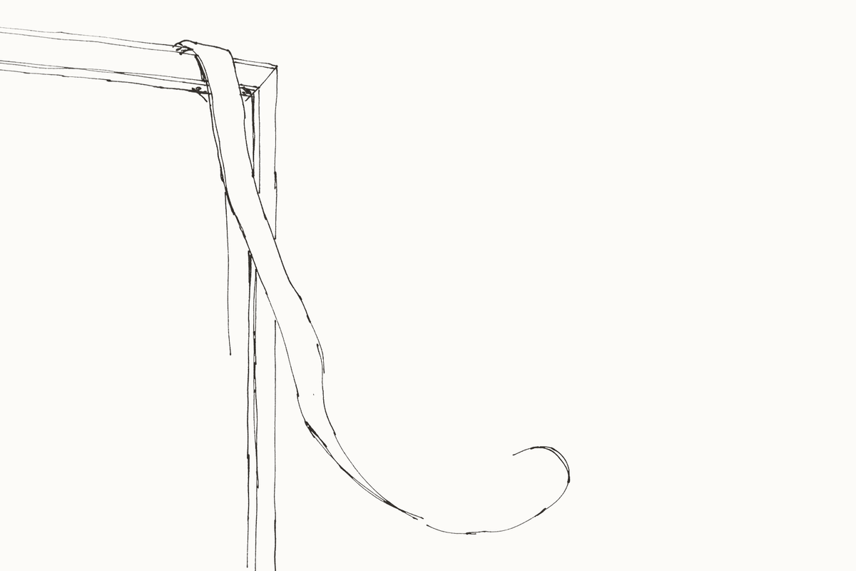 How to Measure Your Bra Size at Home — hand-drawn illustration by Darette