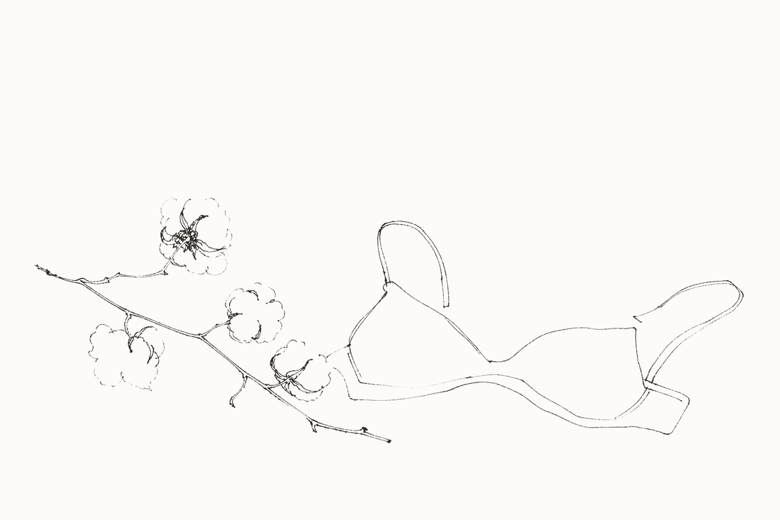 What Makes a Bra Hypoallergenic? Sensitive-Skin Guide — hand-drawn illustration by Darette