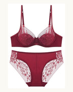 Darette Good Habit Lace Set and panty in Bordeaux shown as a cut-out product pairing