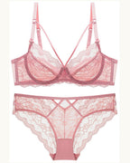 Darette Small Dare Sheer Set and panty in Blush shown as a cut-out product pairing
